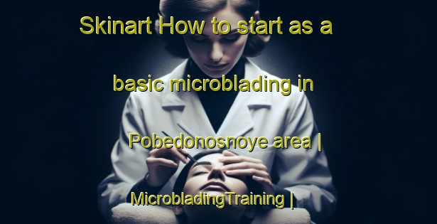 Skinart How to start as a basic microblading in Pobedonosnoye area | MicrobladingTraining | MicrobladingClasses | SkinartTraining-Russian Federation